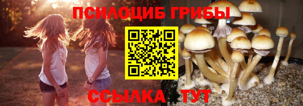 Галлюциногенные грибы Cubensis  Галлюциногенные грибы Psilocybe  Самара  Вход с VPN 